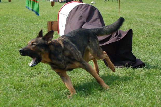 PP Agility Białystok 22.07.2007