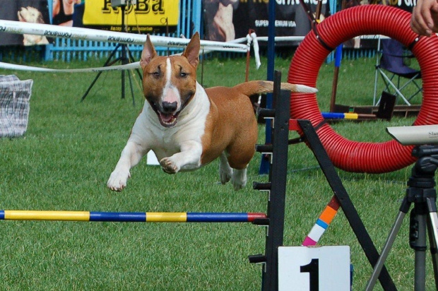 PP Agility Białystok 22.07.2007