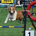 PP Agility Białystok 22.07.2007