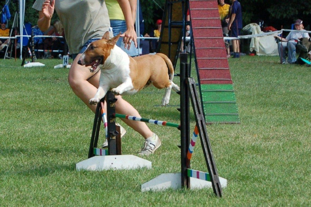 PP Agility Białystok 22.07.2007