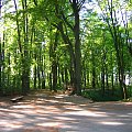 06.05.2007 - W PUSZCZY