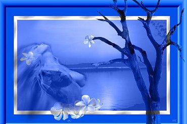 #PSP #ZnakiZodiaku #Wodnik