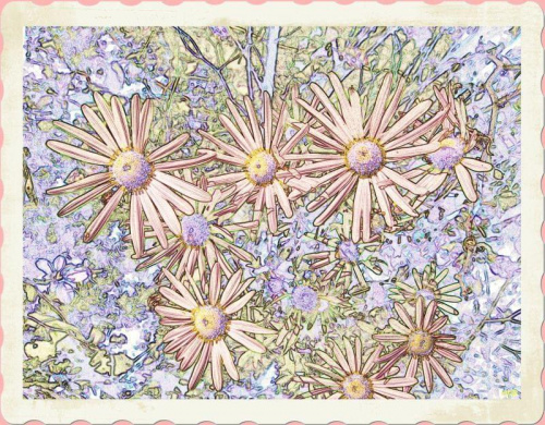 Chryzantemy w ogrodzie #namalowane #obrazy #AstryJesienne #WOgrodzie #kwiaty