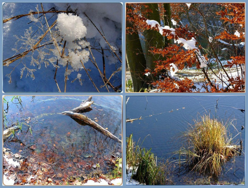 jez. Otomino - czy to jeszcze jest jesień? #Gdańsk #jezioro #jesień #śnieg #liście