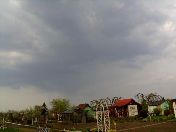 Komórka burzowa - 26.04.2011