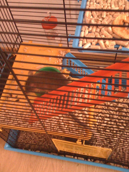 Ej... fajne to żarełko... co to, co to?