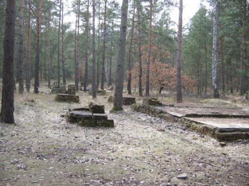 Zdjęcie przedstawia pozostałości po Baraku 120 w obozie... #Żagań #Obóz #Stalag #Luft #Jeńcy #Wojna