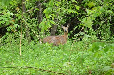 #Góry #Leskowiec #Andrychów #Wędrówka