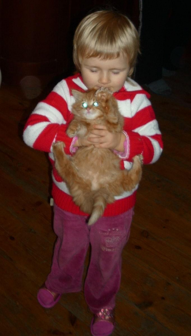 Ruda kotka #KotkaKarczewKotWesołaMała