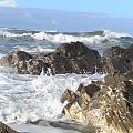 #SouthCoast #wybrzeże #morze #góry #ocean #fale #skały #przypływ