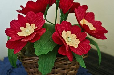 Prymulki #bibuła #dekoracje #hobby #KompozycjeKwiatowe #krepina #KwiatyZBibuły #MojePrace #pomysły #RobótkiRęczne