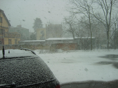 śnieżyca w Poznaniu
