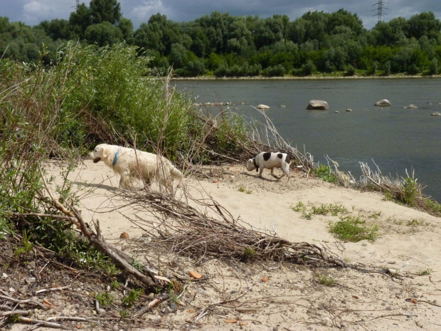 Brutus I Lola, Wisła, czerwiec 2011