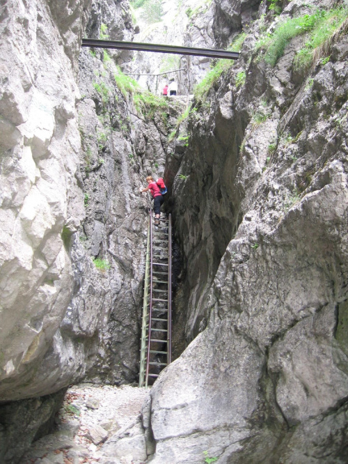 Drabinki ułatwiają przejście progów skalnych w tej częsci doliny #GóryChoczańskie #DolinaProsiecka #DolinaKwaczańska